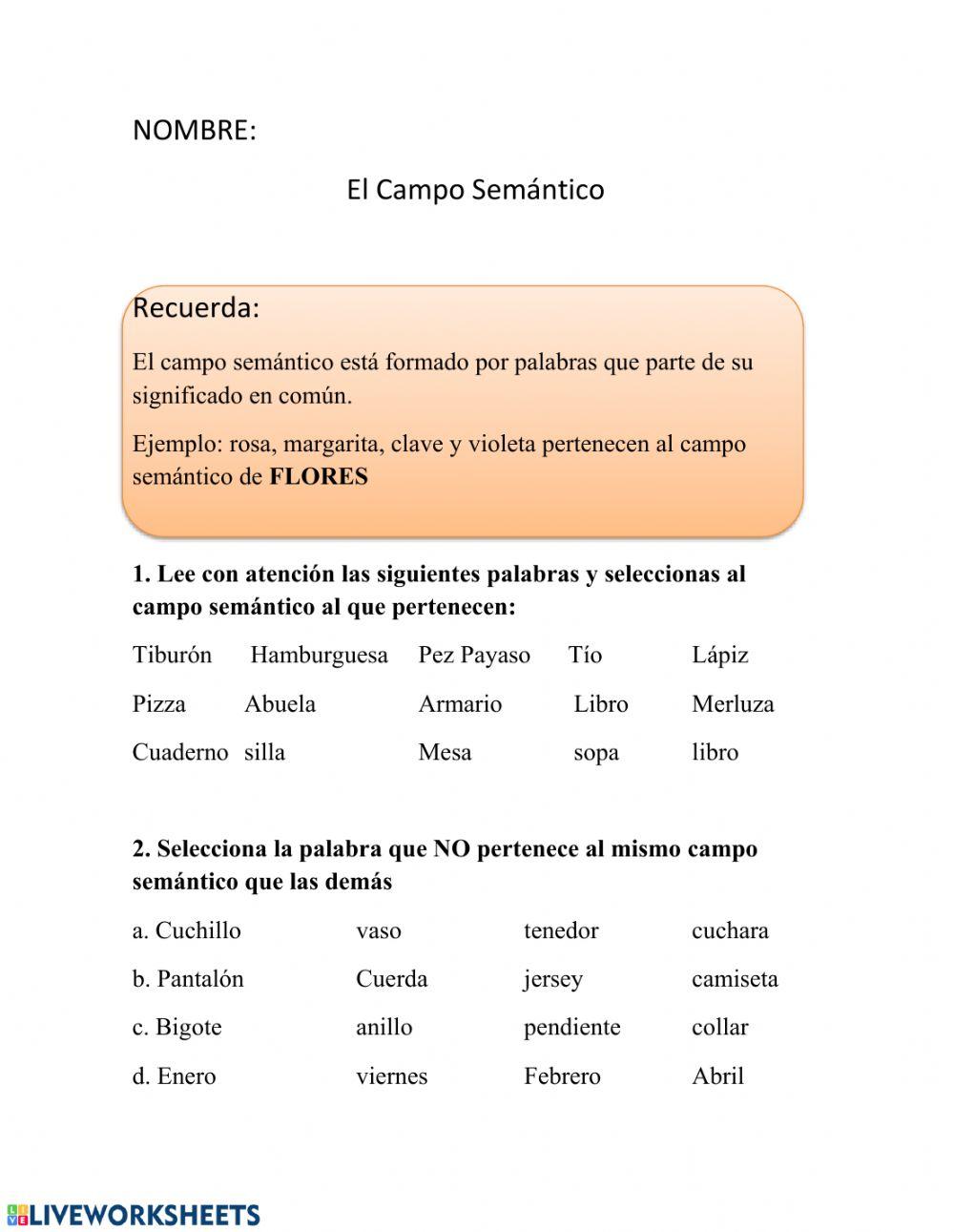 campo semantico, determinantes y tiempos verbales