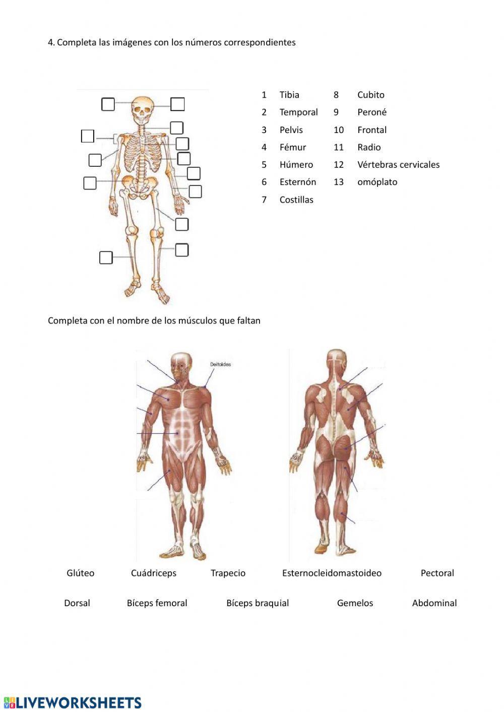 EXAMEN FUNCIÓN DE RELACIÓN