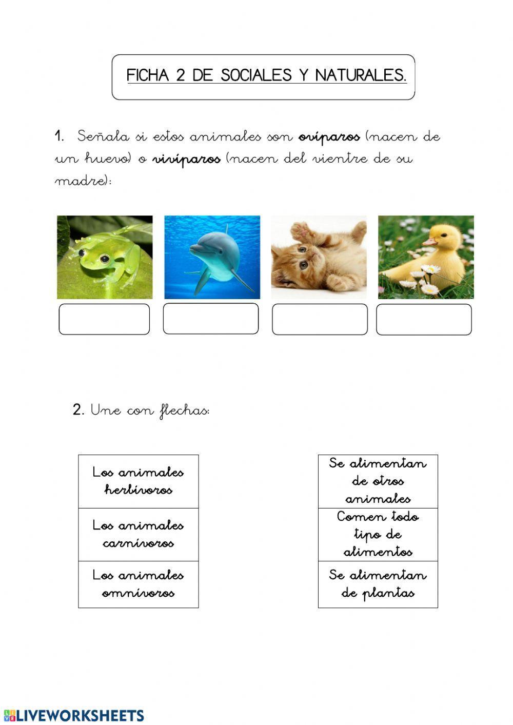 Agua y animales2