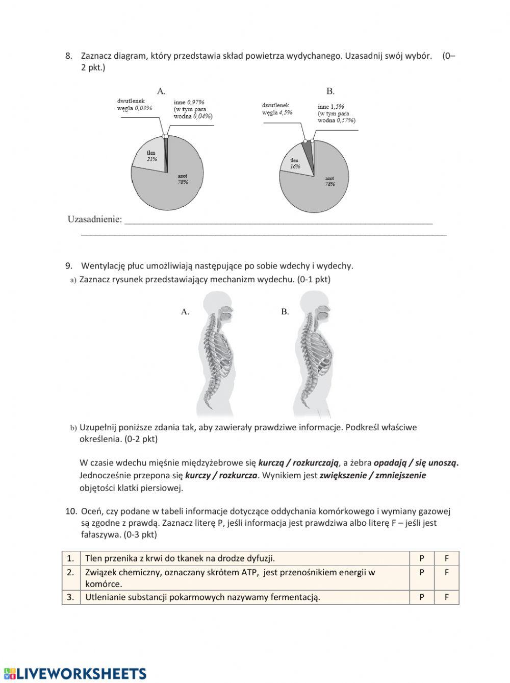 Respiratory system