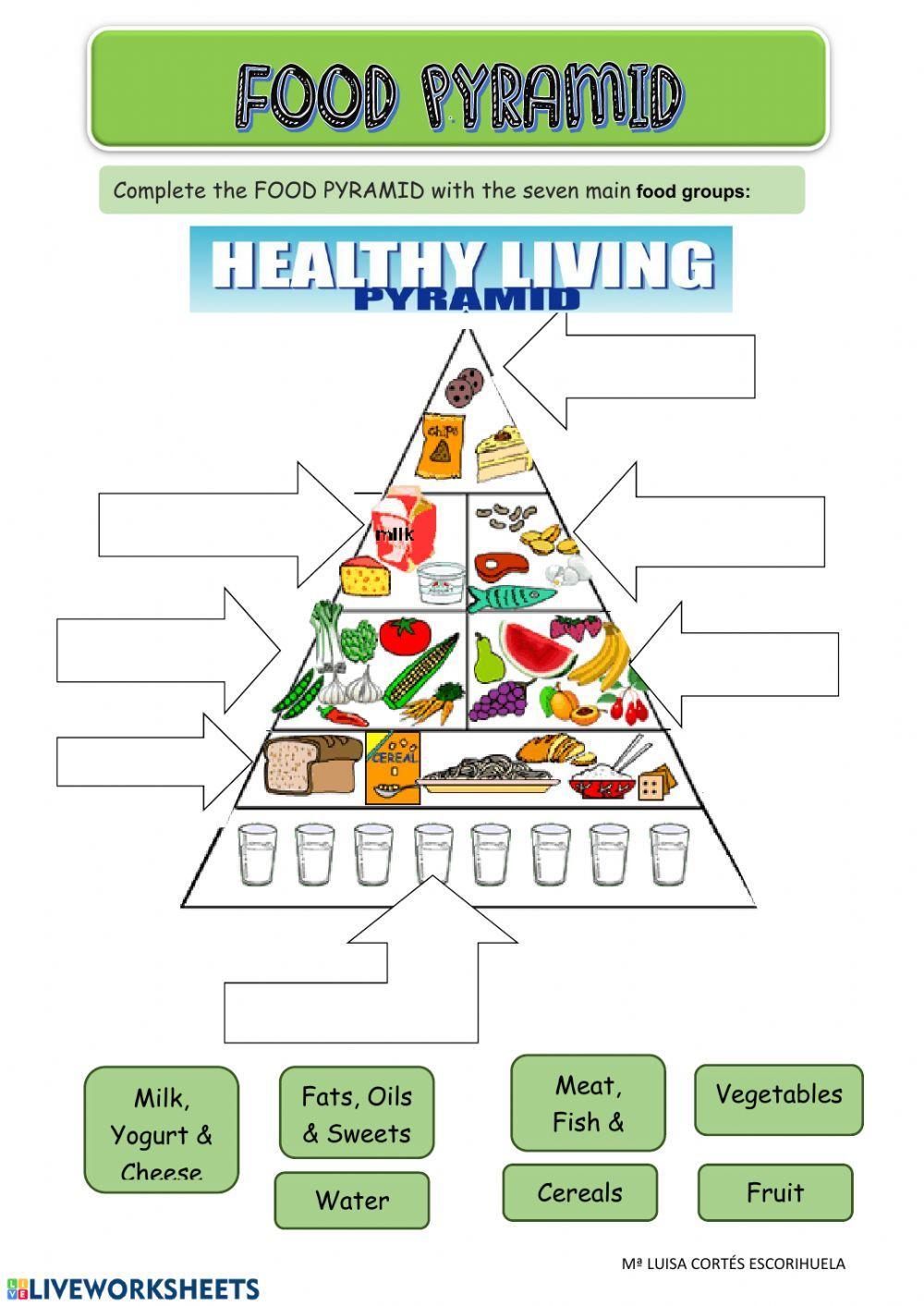 food pyramid critical thinking questions