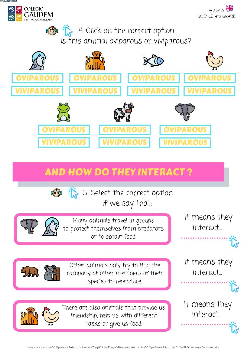 ACTIVITY THE WORLD OF ANIMALS