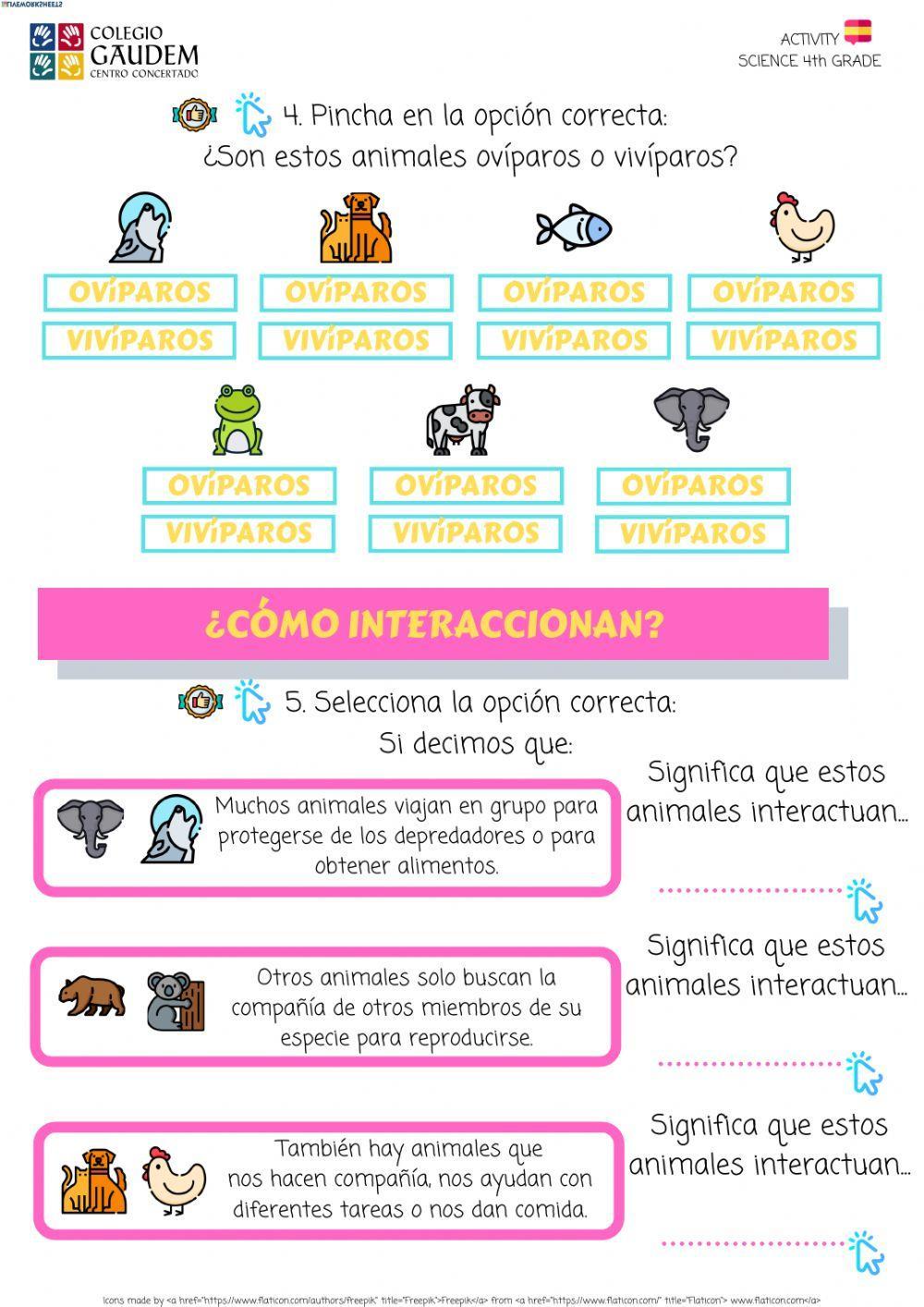 ACTIVIDAD EL MUNDO DE LOS ANIMALES
