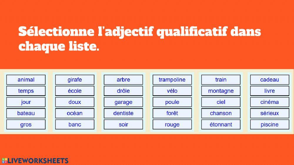 Adjectifs et vocabulaire