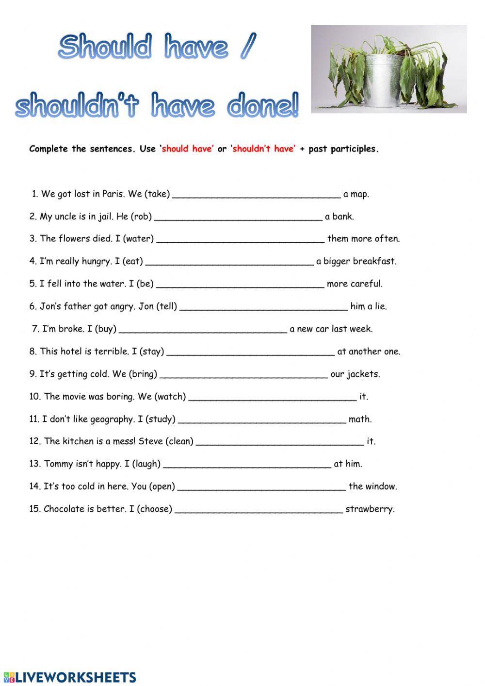 Modals in the past Should