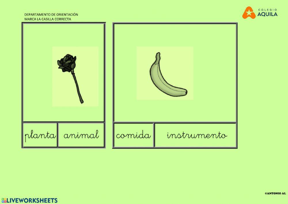 Marca la casilla correcta
