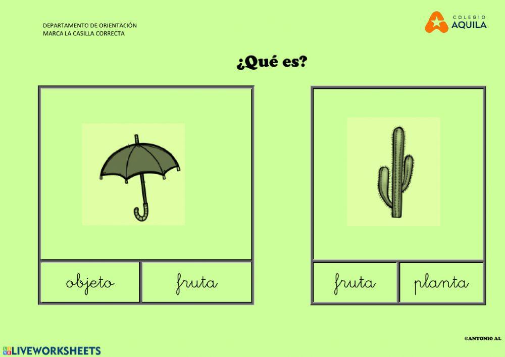 Selecciona la casilla correcta 2