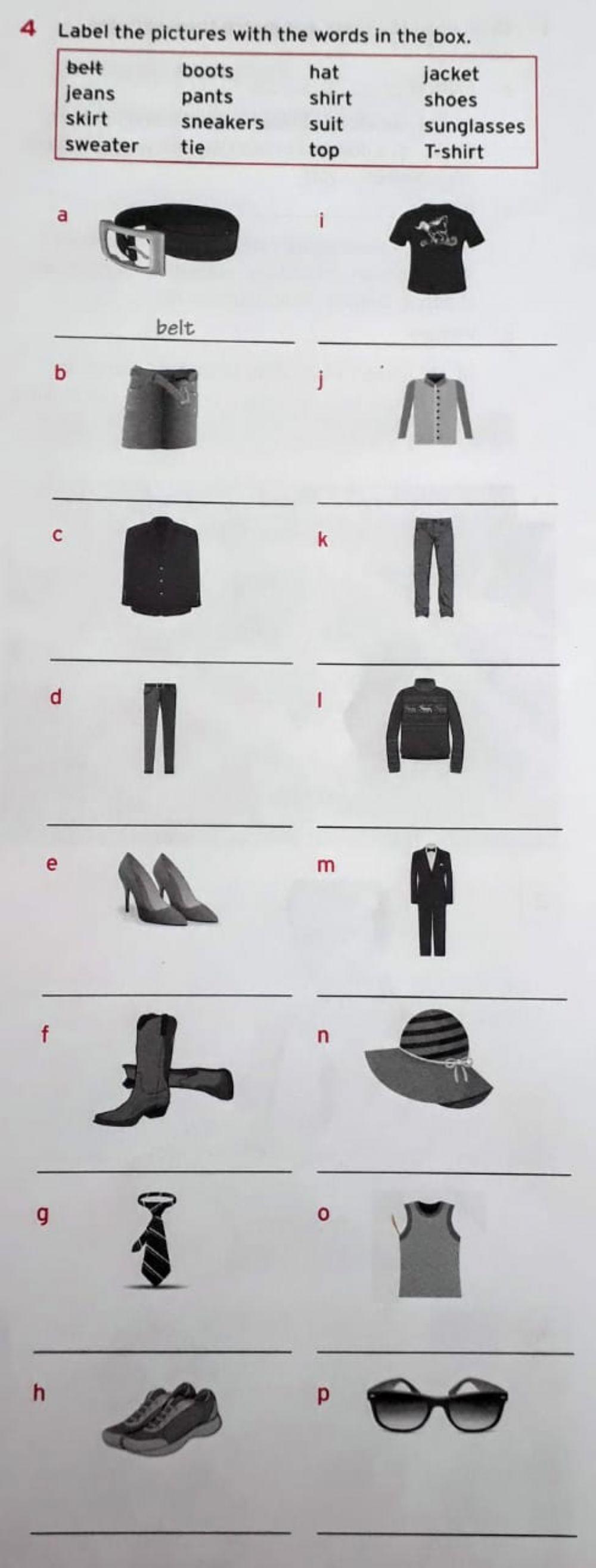 Label the pictures - DRAG AND DROP