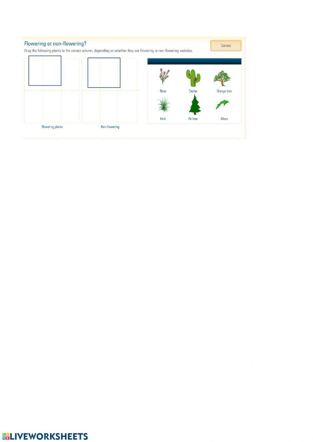 Classification of plants