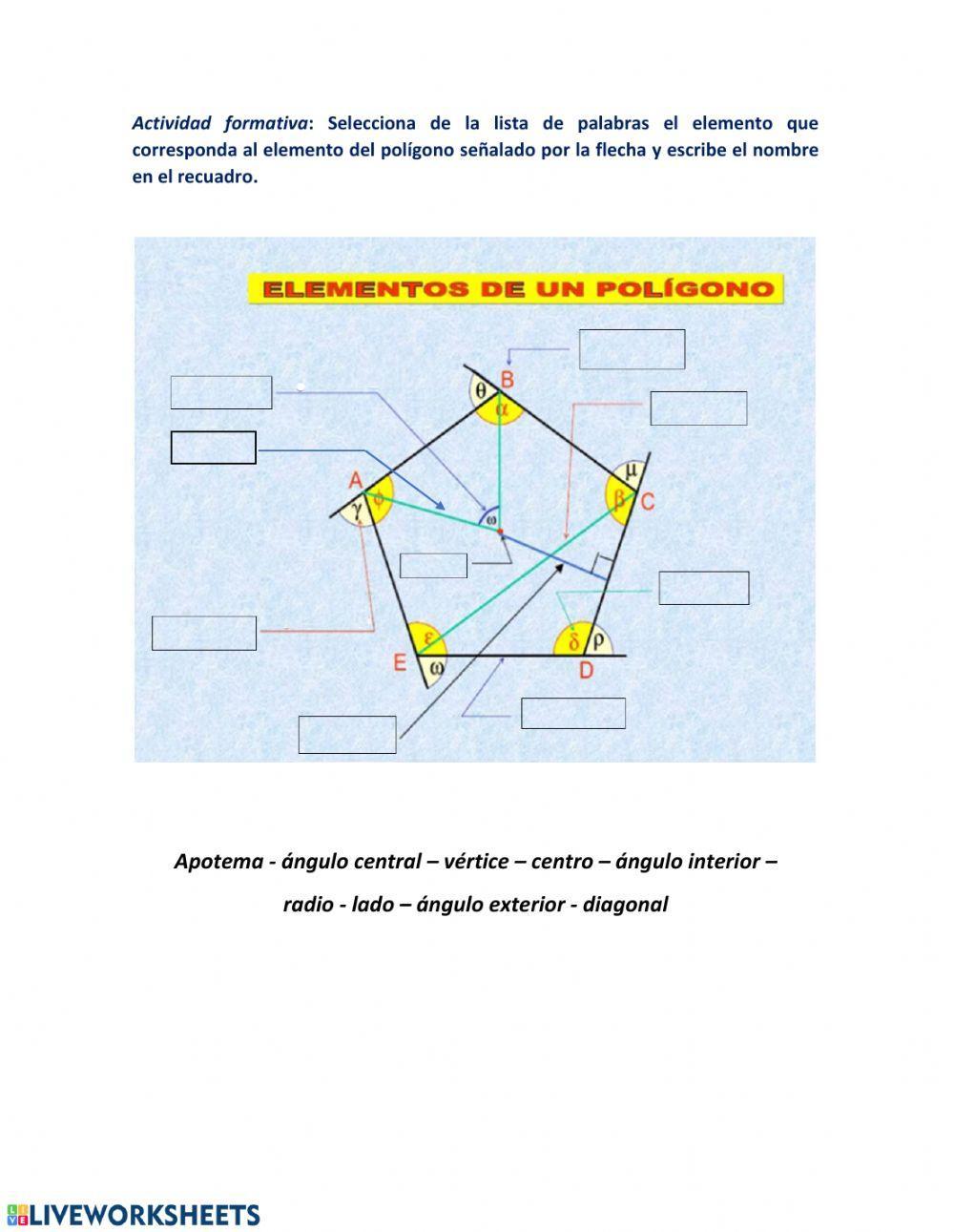 Elementos de un polígono