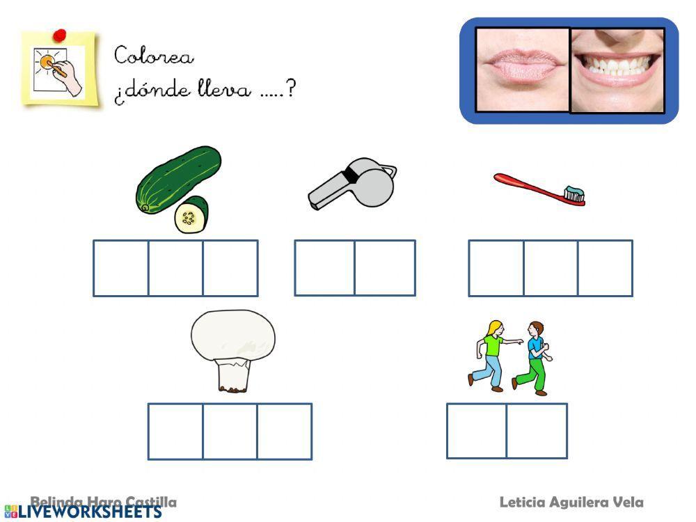 ¿Dónde lleva?...P?