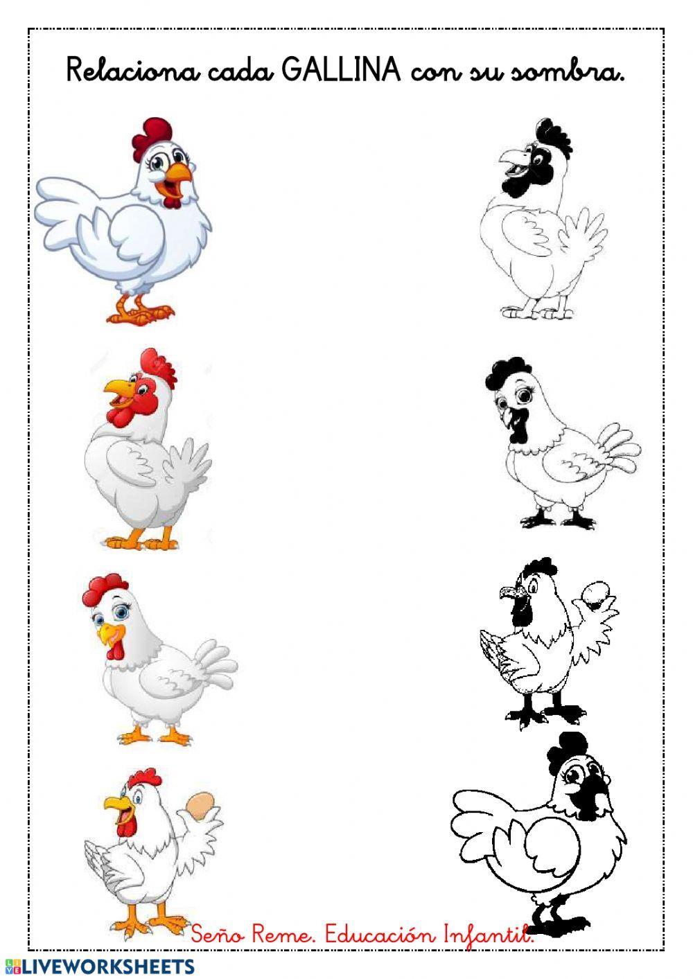 Discriminación visual