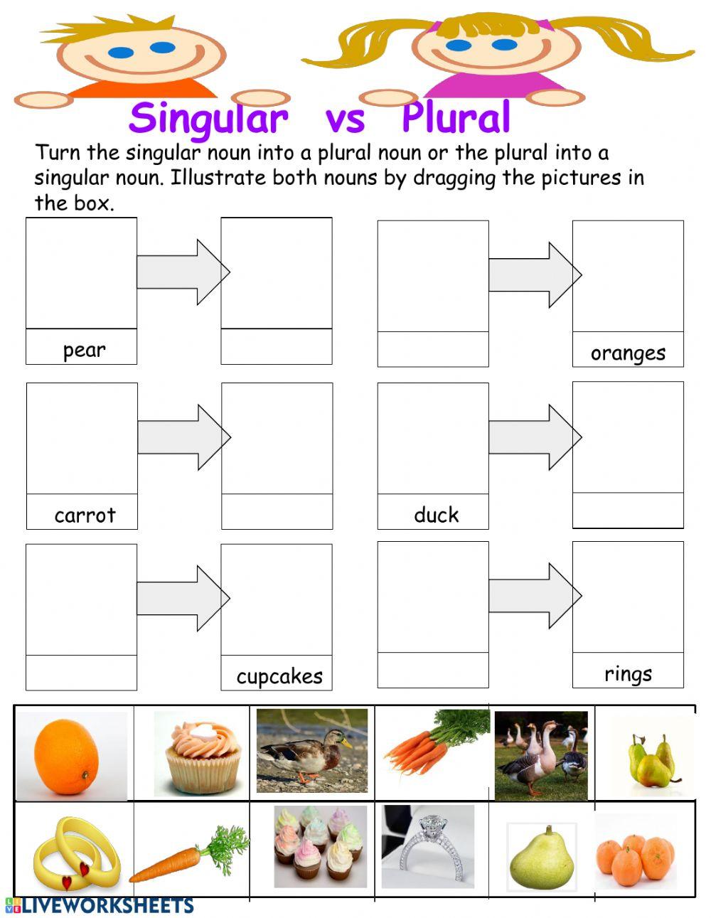 Singular and Plural Noun