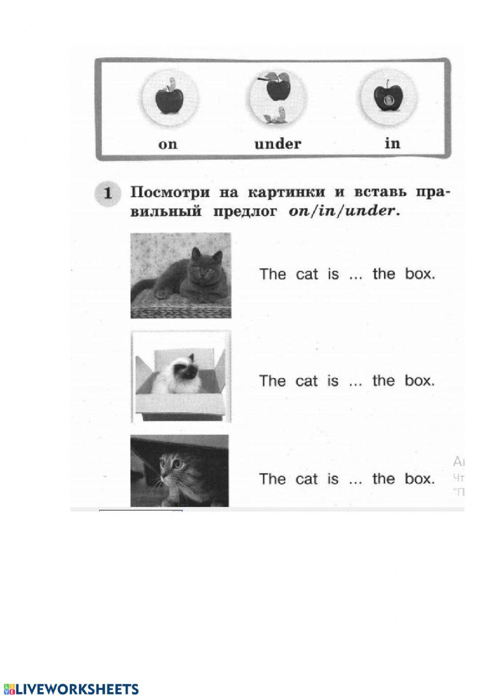Предлоги 2 класс worksheet | Live Worksheets