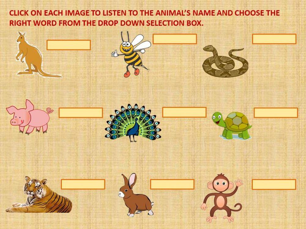 Animals Name Worksheet Live Worksheets zoo-animals-list-zoo-animals-names-rare-animals-animals-and-pets