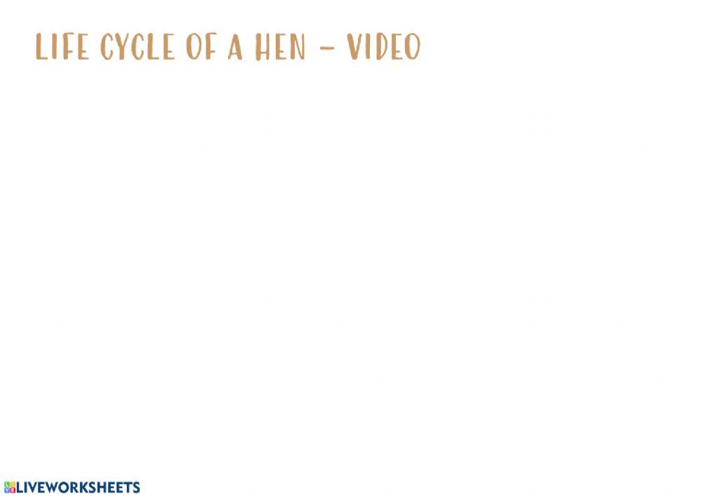 Life Cycle of a Hen Life Cycle of a Hen