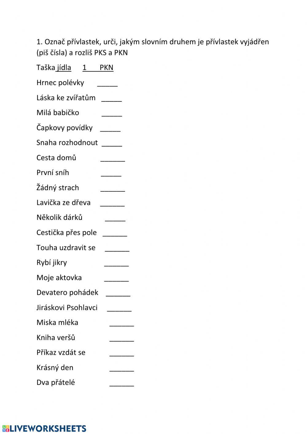 Přívlastky - shodný, neshodný 2