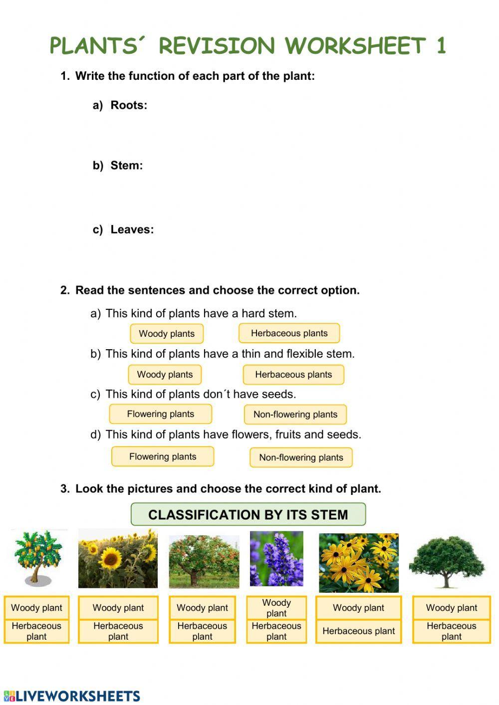 Plants- revision worksheet 1