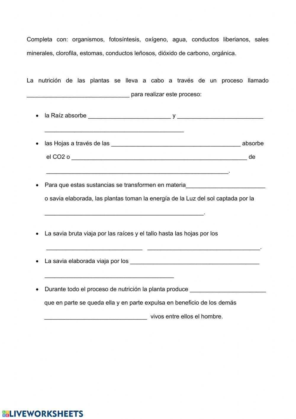 109842 Nutrición De Las Plantas Marivigomez 109842 Nutrición De Las Plantas Marivigomez