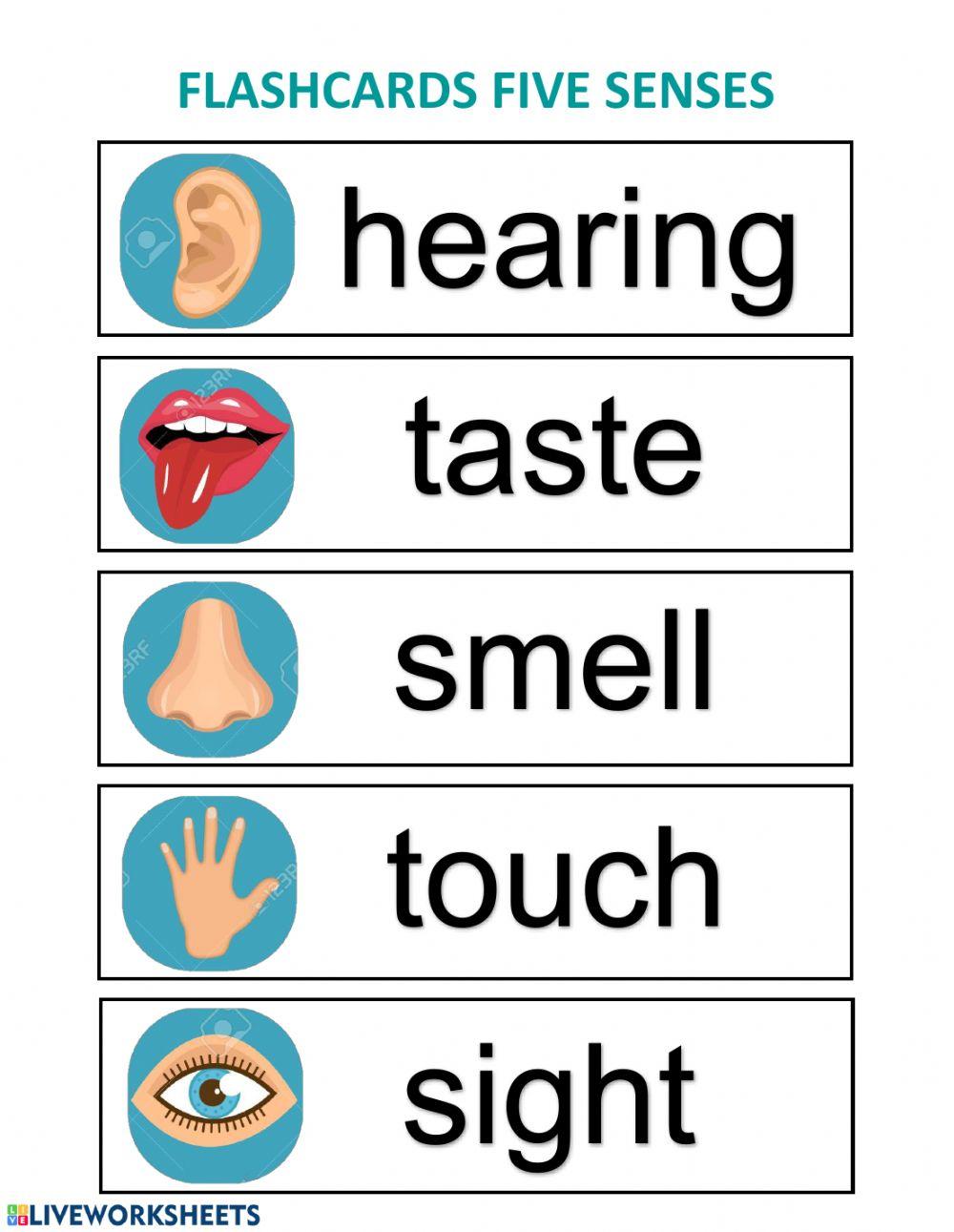 Flashcards five senses