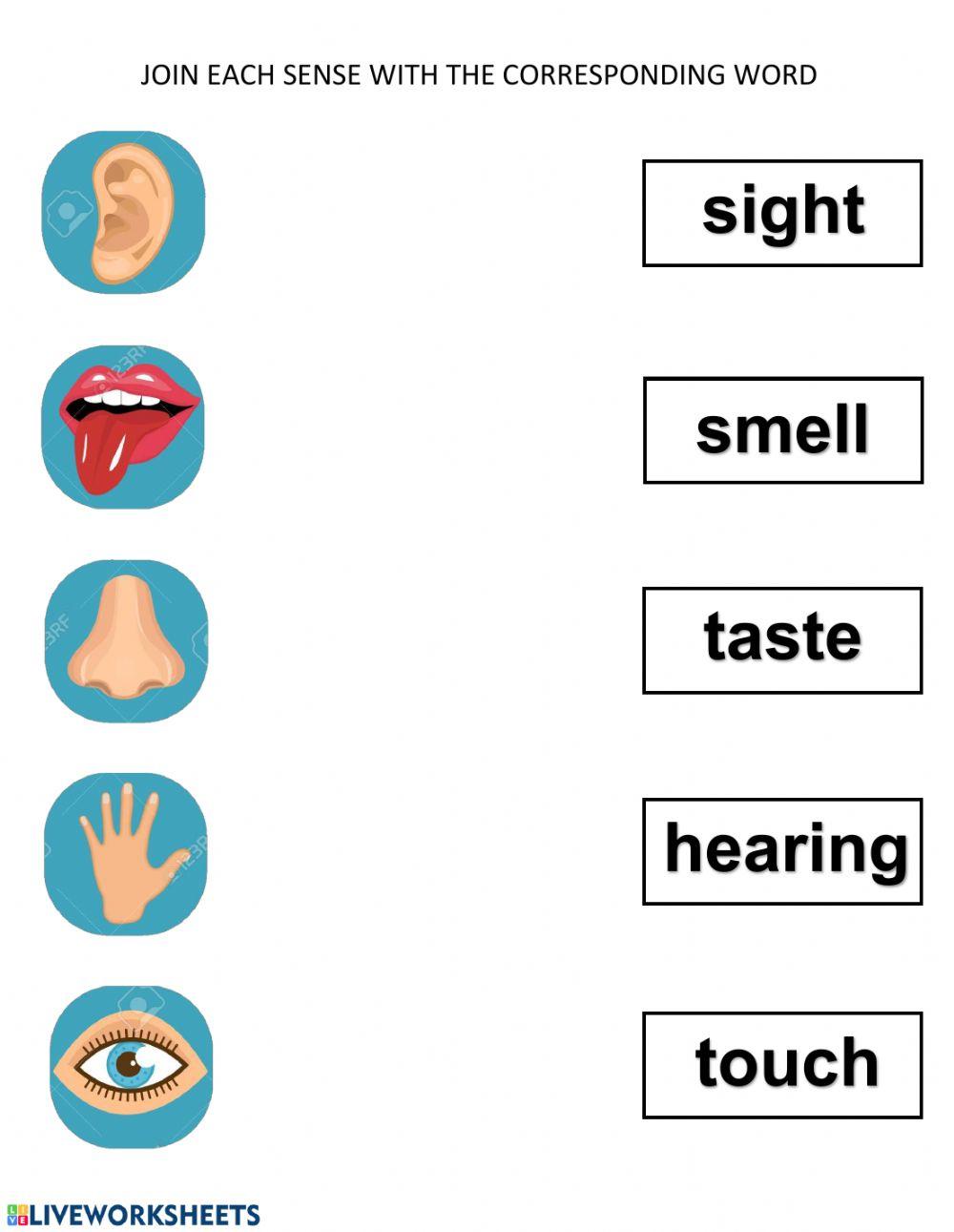 Pract 2 five senses Pract 2 five senses