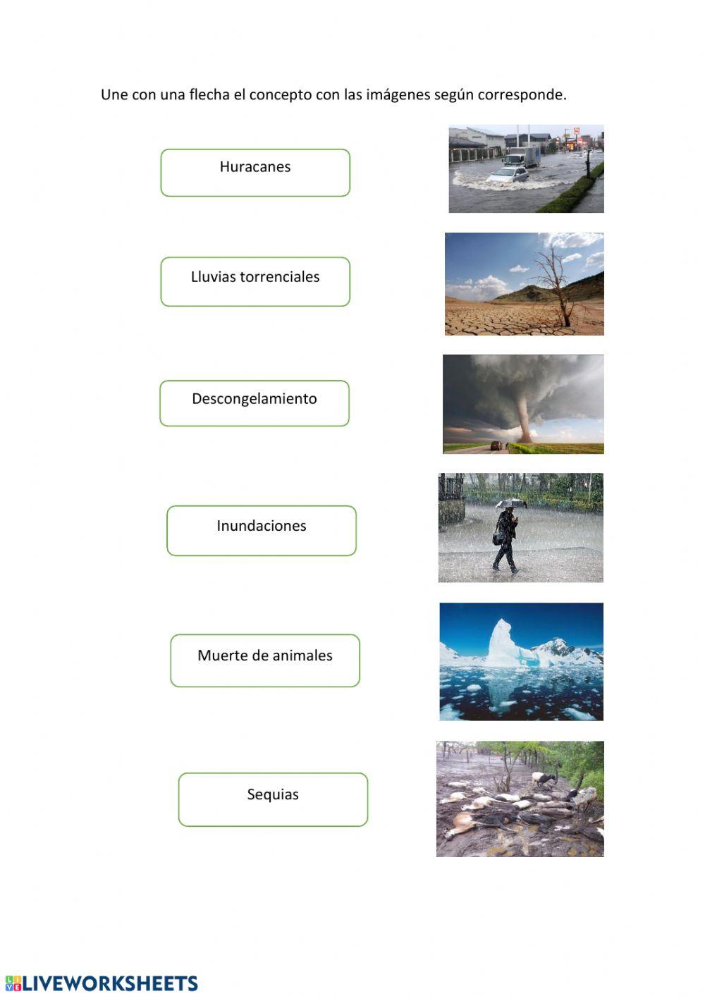 Consecuencias del calentamiento global