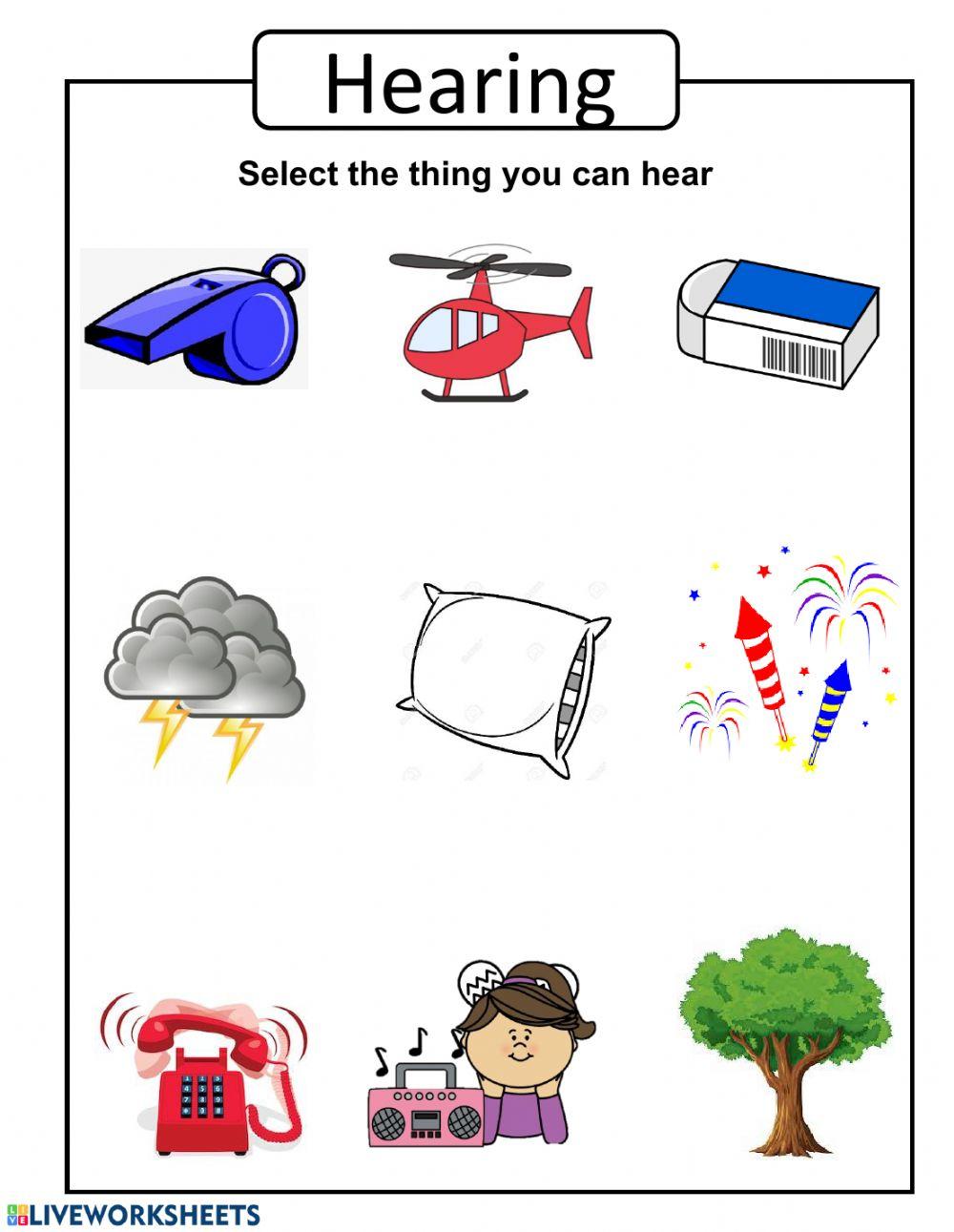 Pract 4 five senses Pract 4 five senses