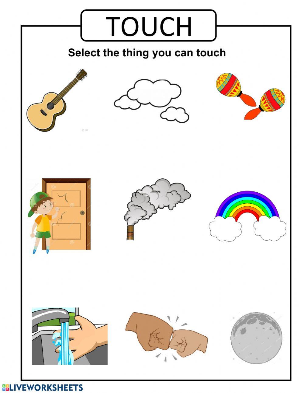 Pract 5 five senses Pract 5 five senses