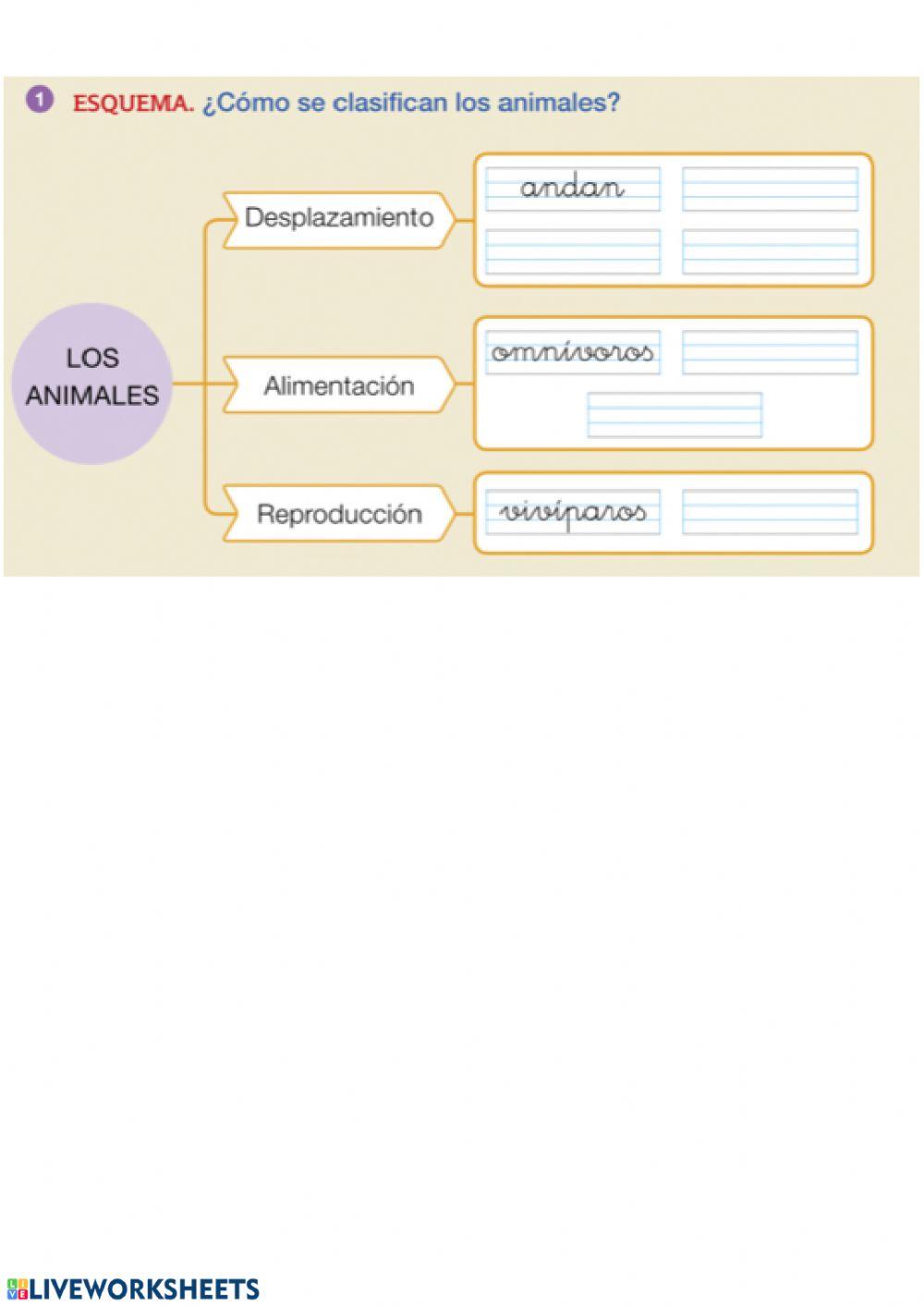 ANIMALES carnívoros, hervíboros y omnívoros