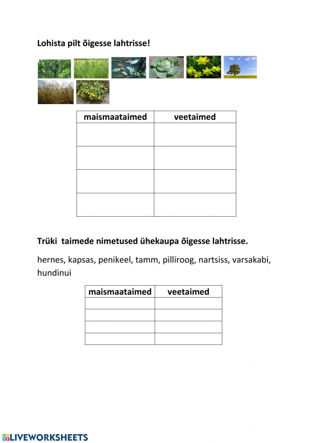 Miks kalad ära ei upu? Veetaimed. Maismaataimed 