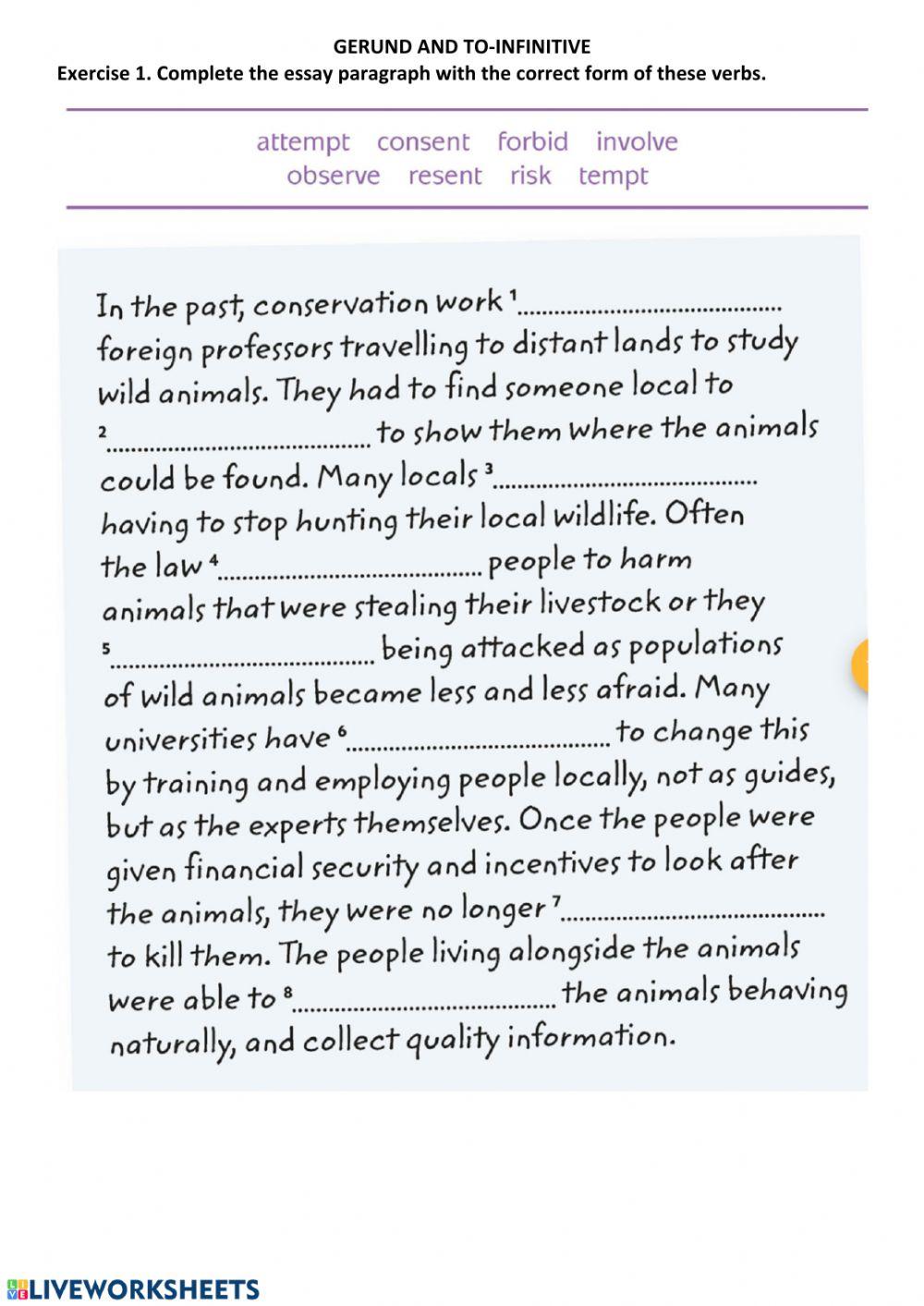 Level11-VerbPatterns