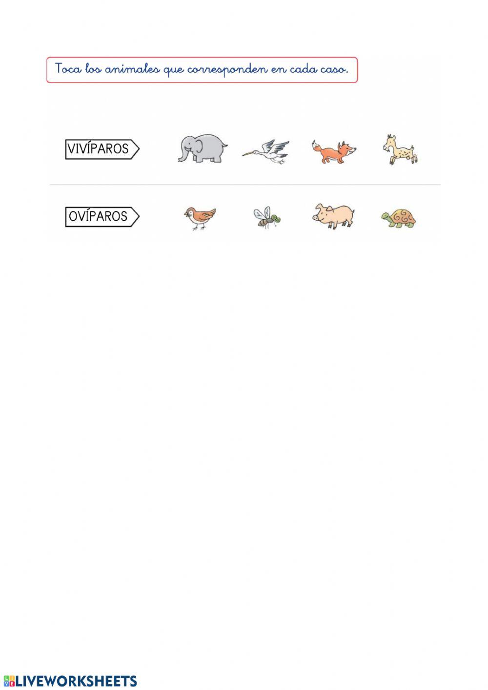 AniMALES vivíparos ovíparos