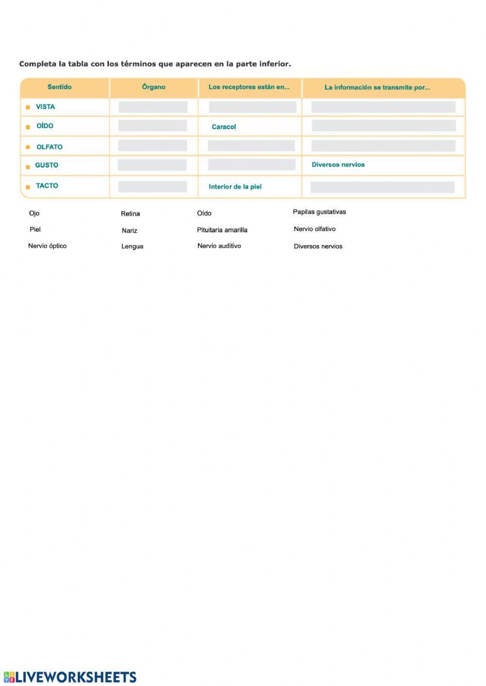 Función de relación