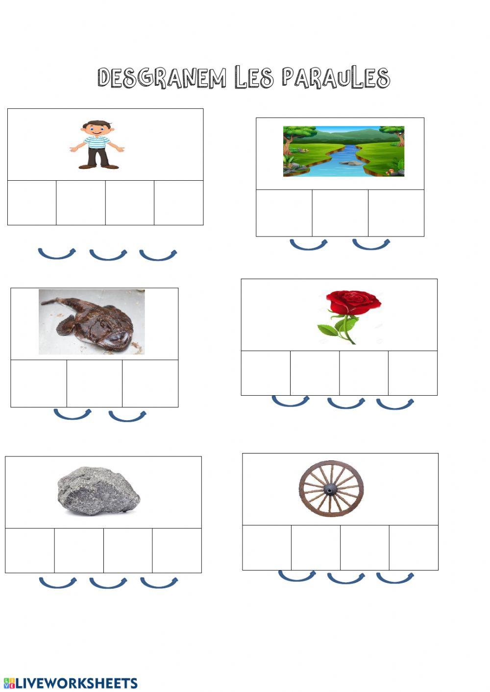 Lectoescriptura consciència fonològica lletra R