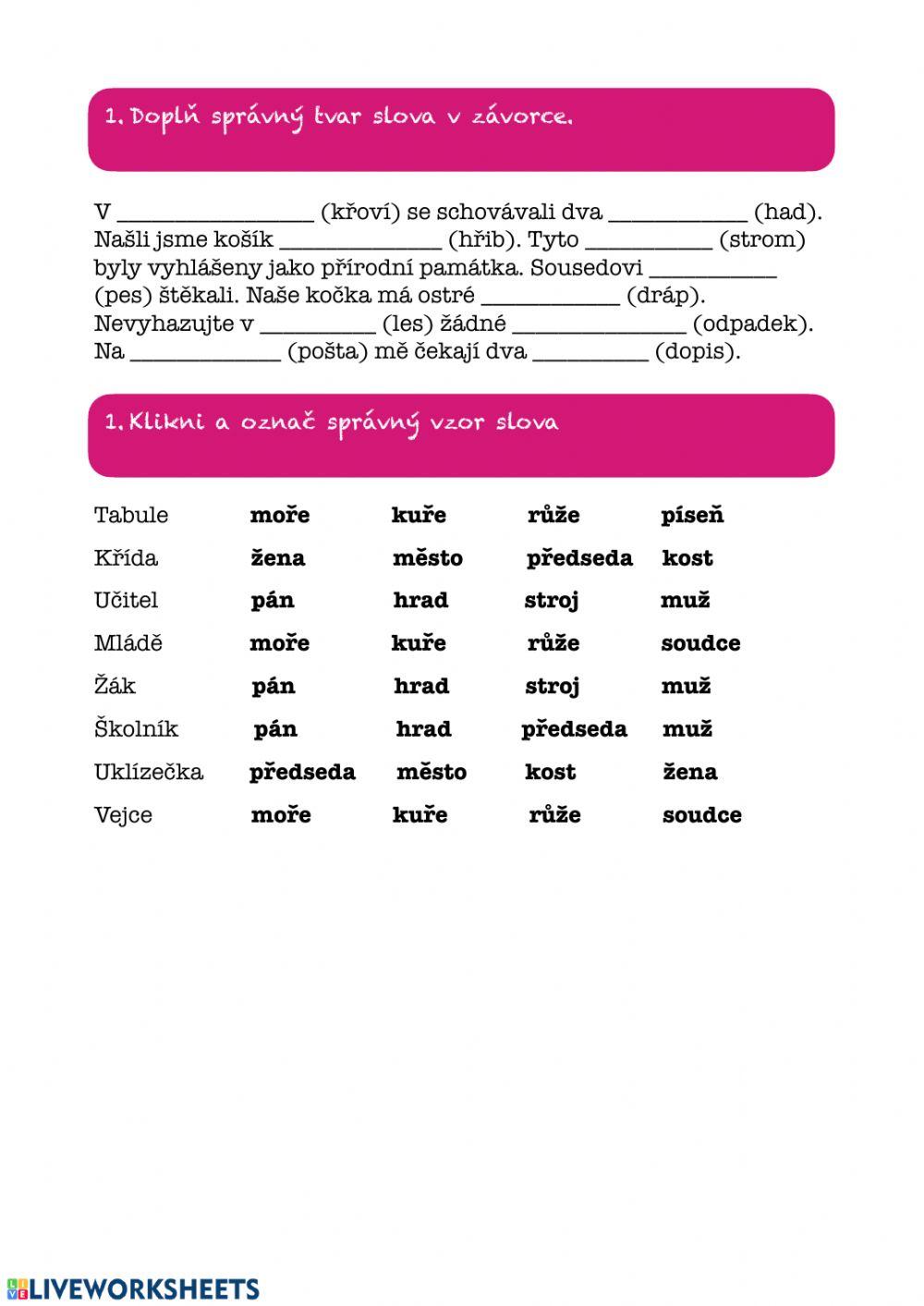 Opakování podstatných jmen