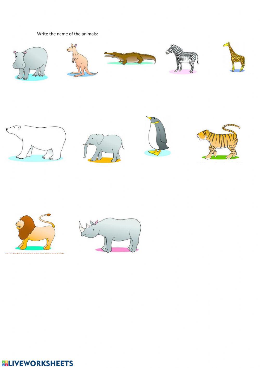Animals 1