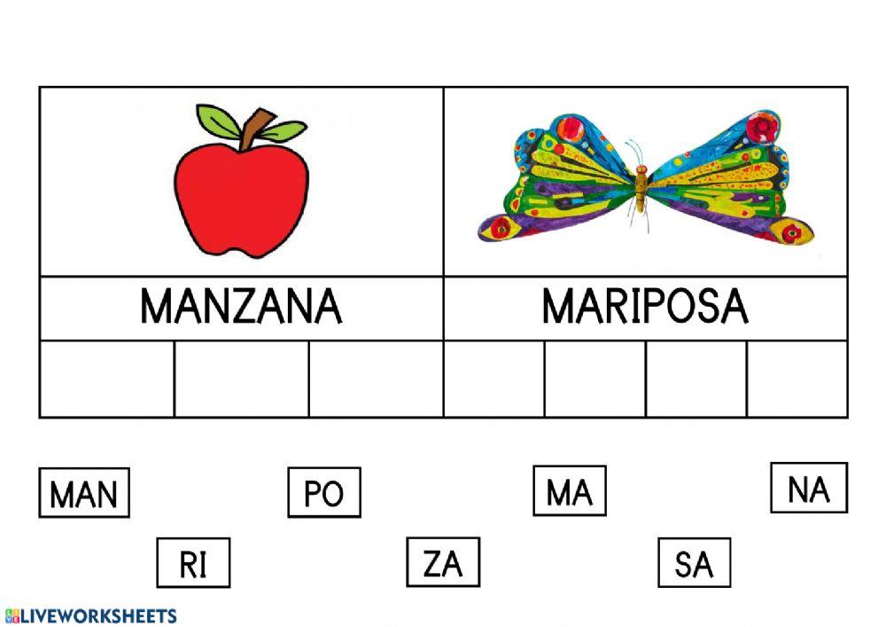 Coloca cada sílaba en su lugar
