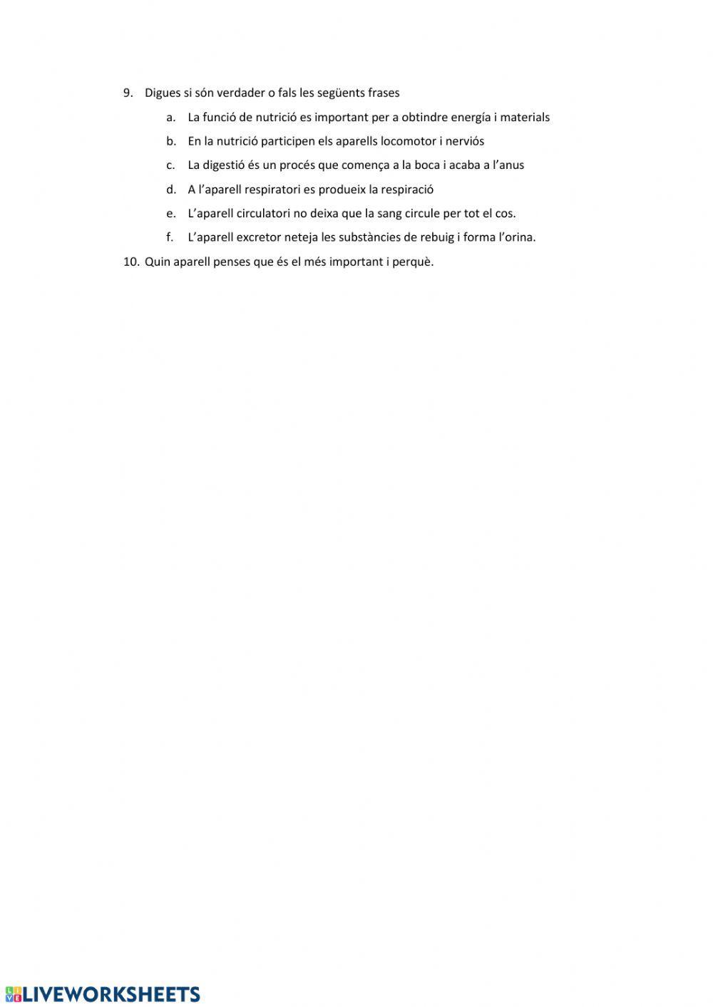 Preguntes resum cos humà