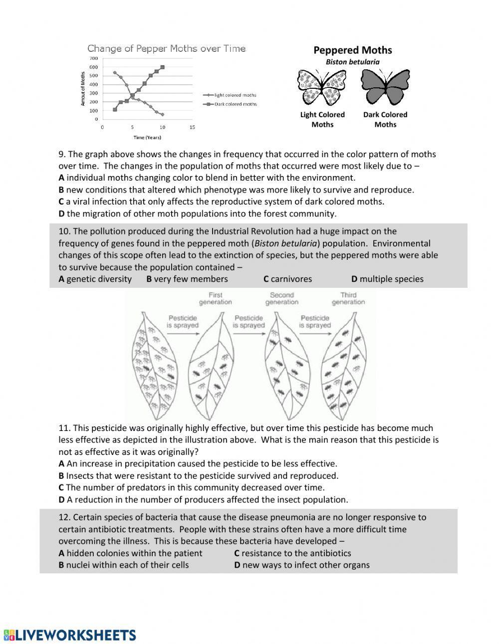 Natural Selection and Adaptation