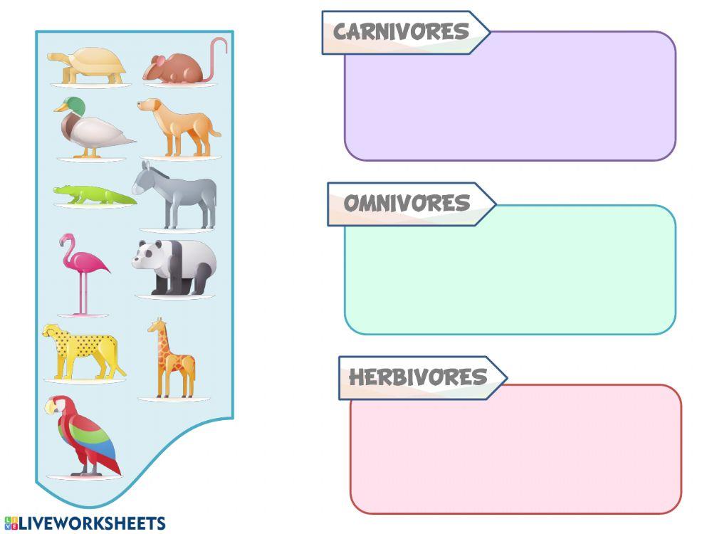 Carnivores, omnivores and herbivores animals