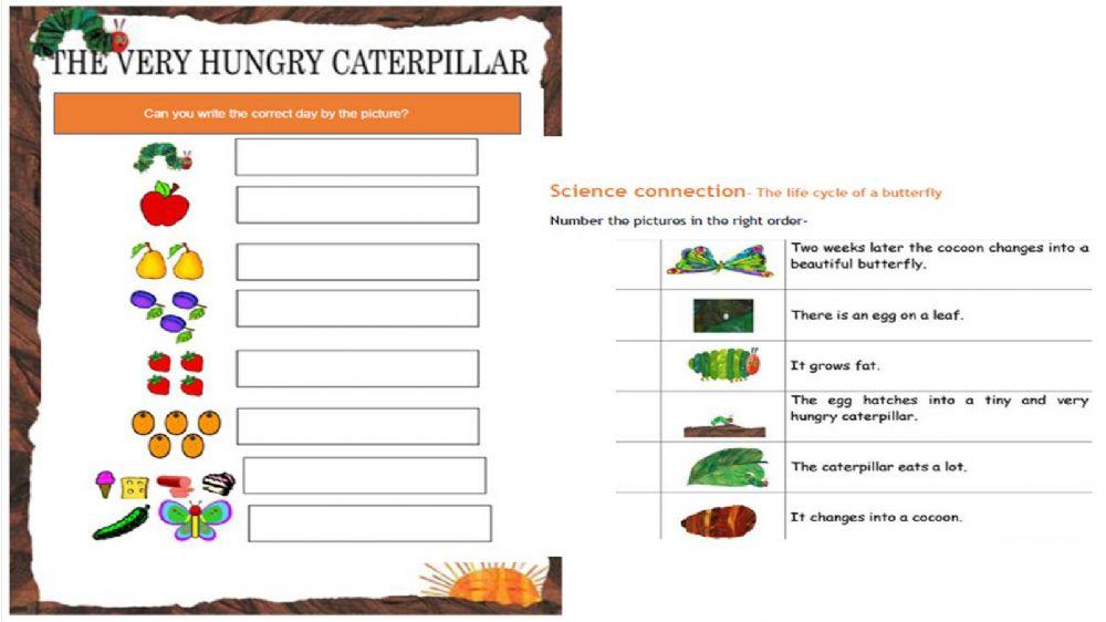 Caterpillar story