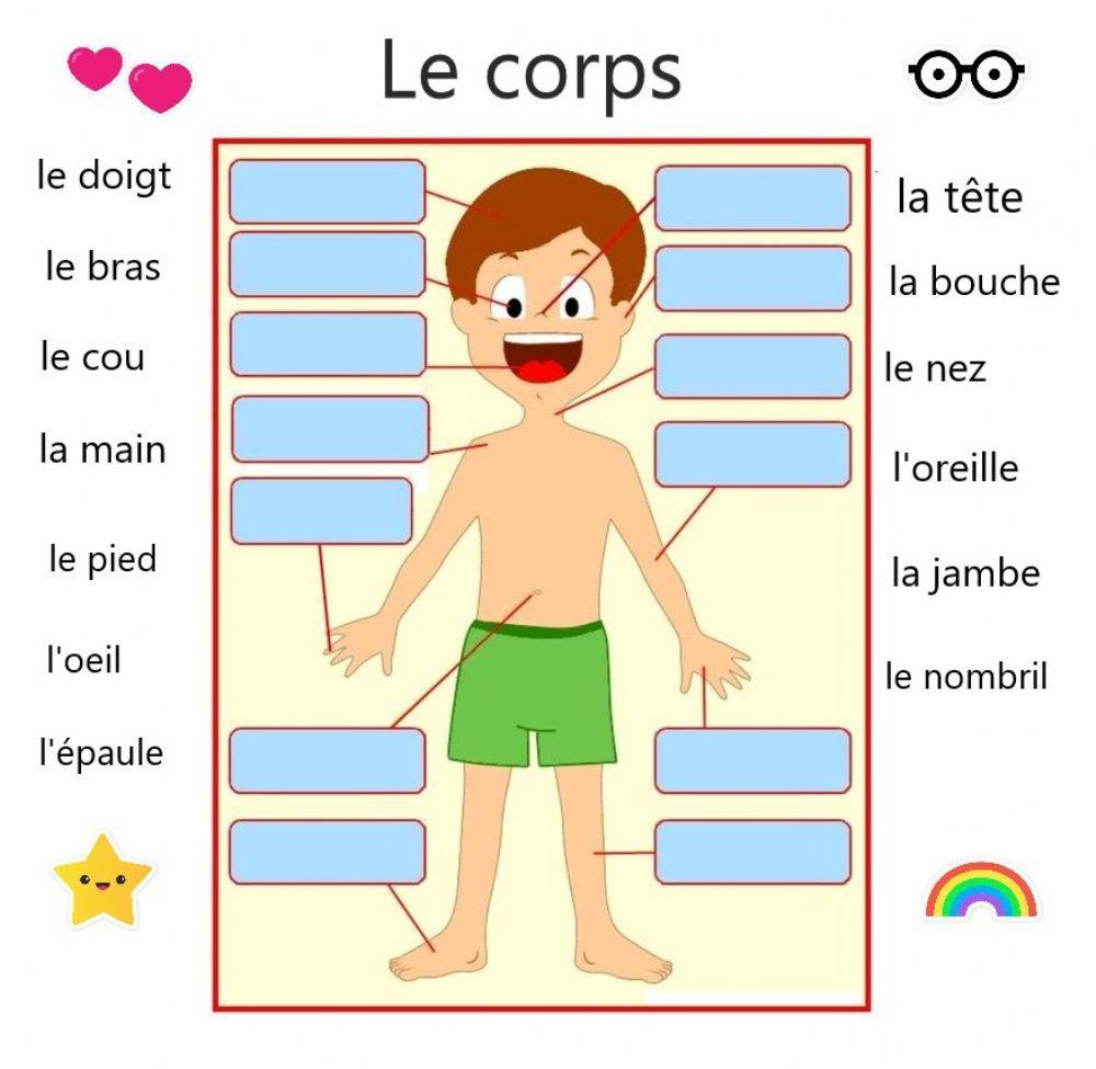 Le corps Le corps