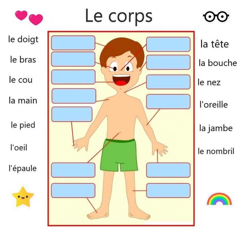 Le corps