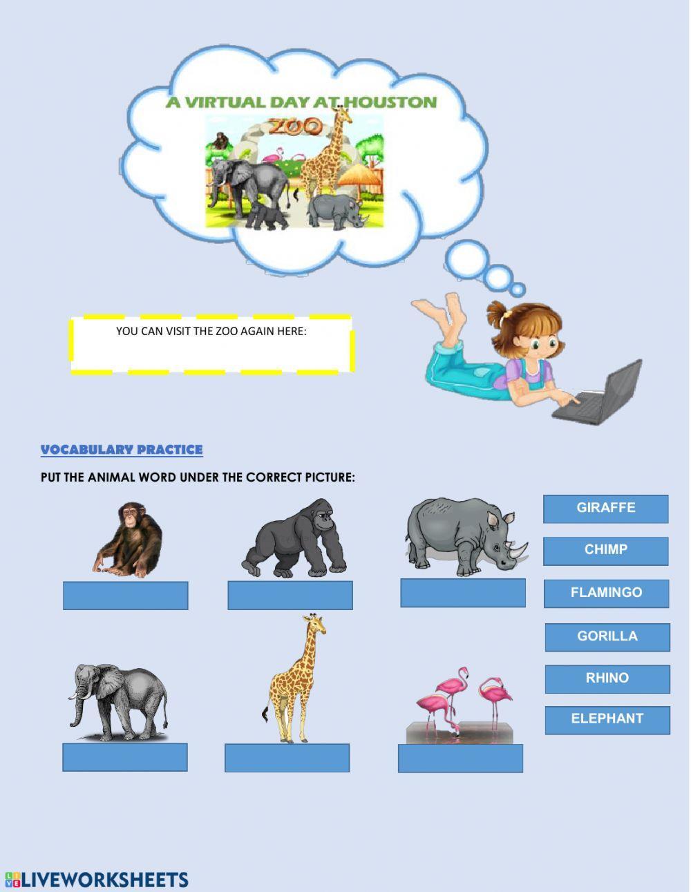 A visit at the Houston Zoo