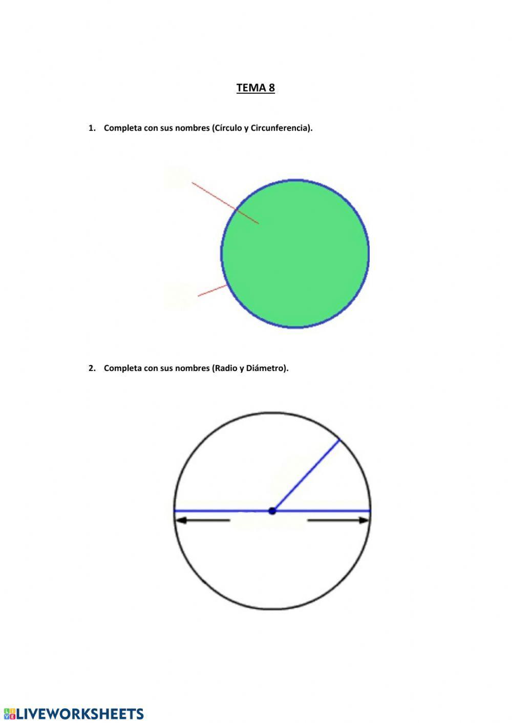 Círculo y circunferencia