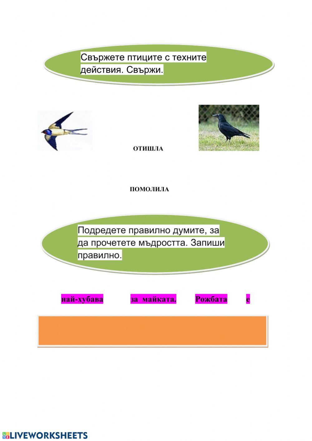 Най-хубавото птиче