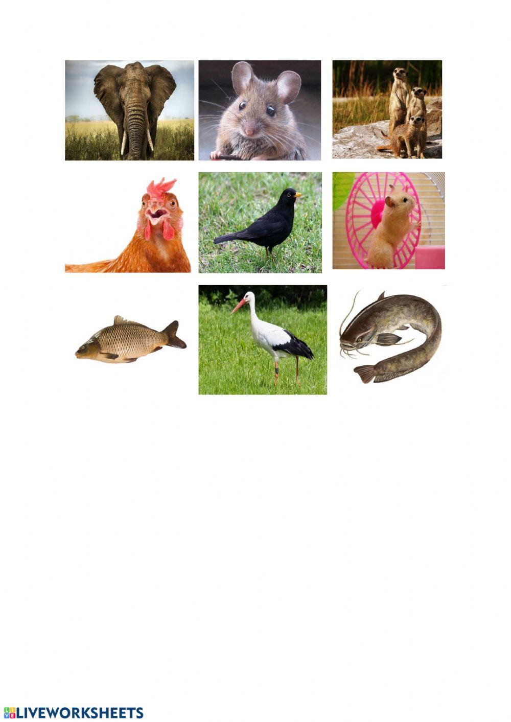 В кои картини има...С-Ш