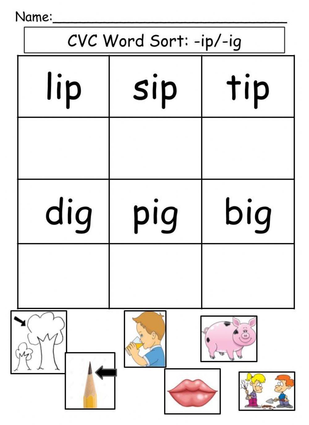 CVC Words -ip--ig CVC Words -ip--ig