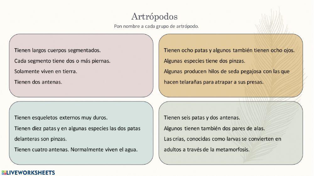 El mundo de los animales parte 2