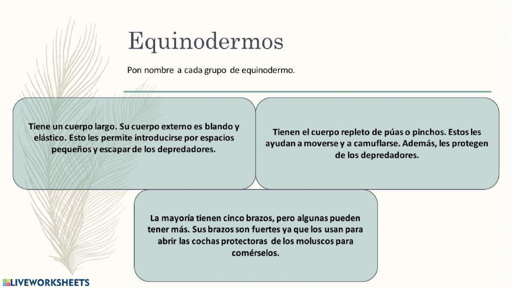 El mundo de los animales parte 2